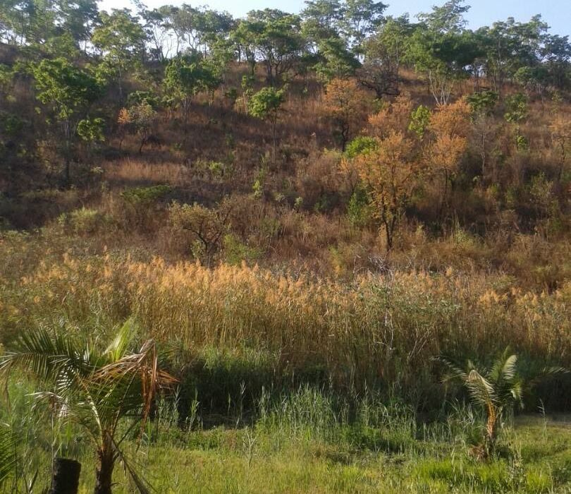 Residential Stand in Borrowdale for Sale 