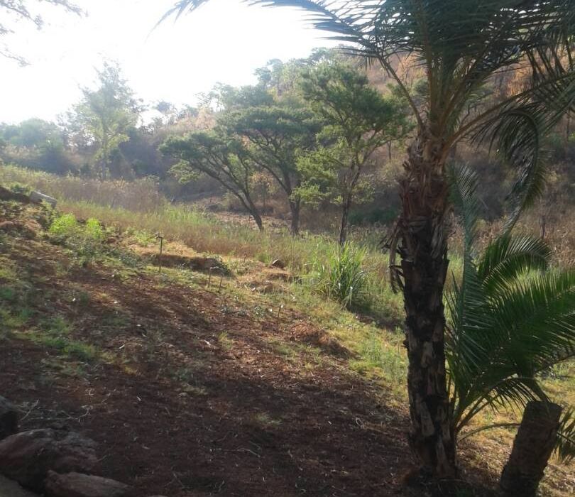 Residential Stand in Borrowdale for Sale 