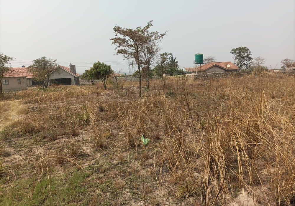 Rydale Ridge Stand For Sale