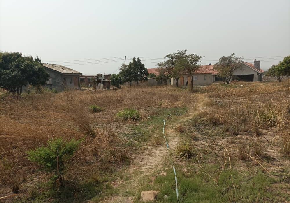 Rydale Ridge Stand For Sale
