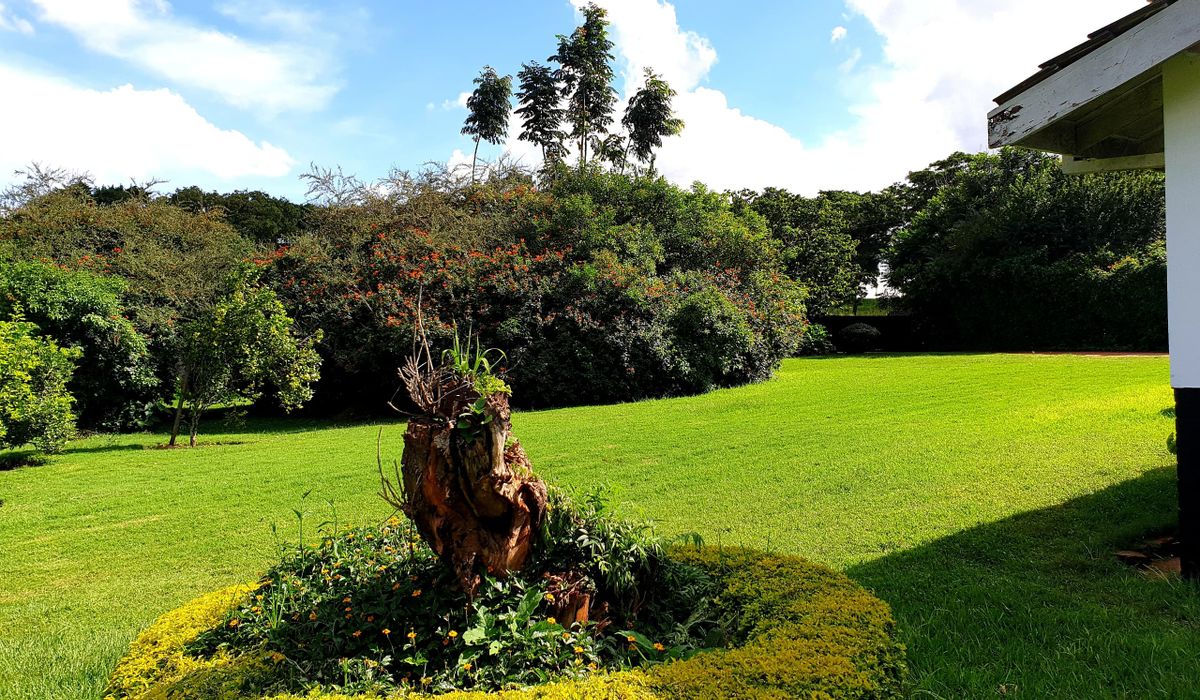 Scenic, Solid And Beautifully Kept House For Sale!