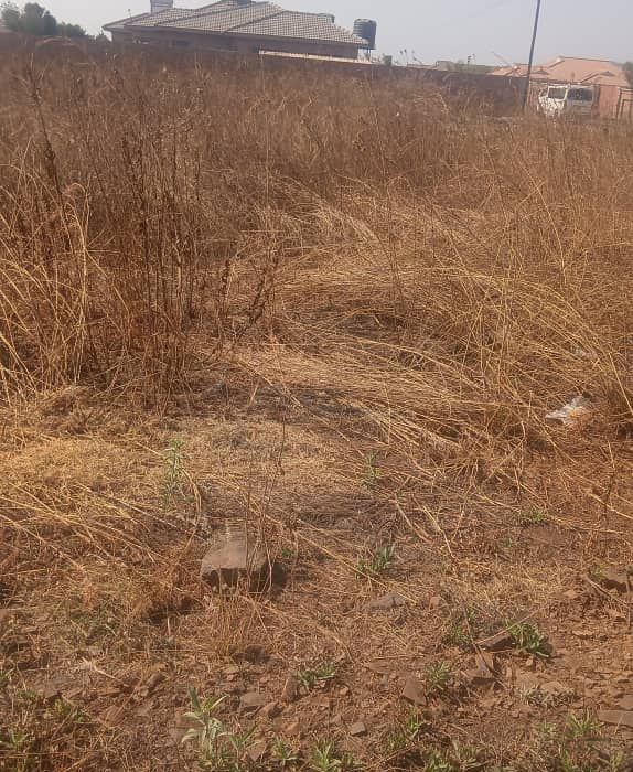 Stand for Sale at Madokero Estate 