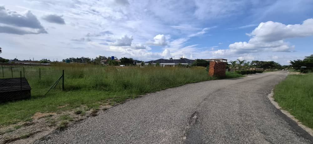 Stand For Sale In Arlington