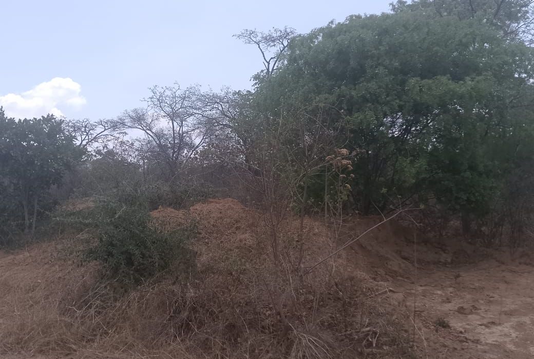 Stand for Sale in Blue Ranges, Kadoma 