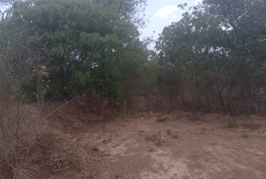 Stand for Sale in Blue Ranges, Kadoma 