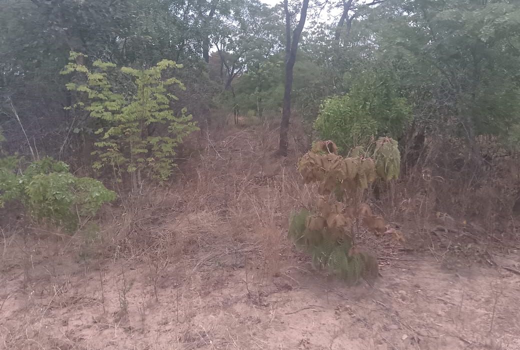 Stand for Sale in Blue Ranges, Kadoma 
