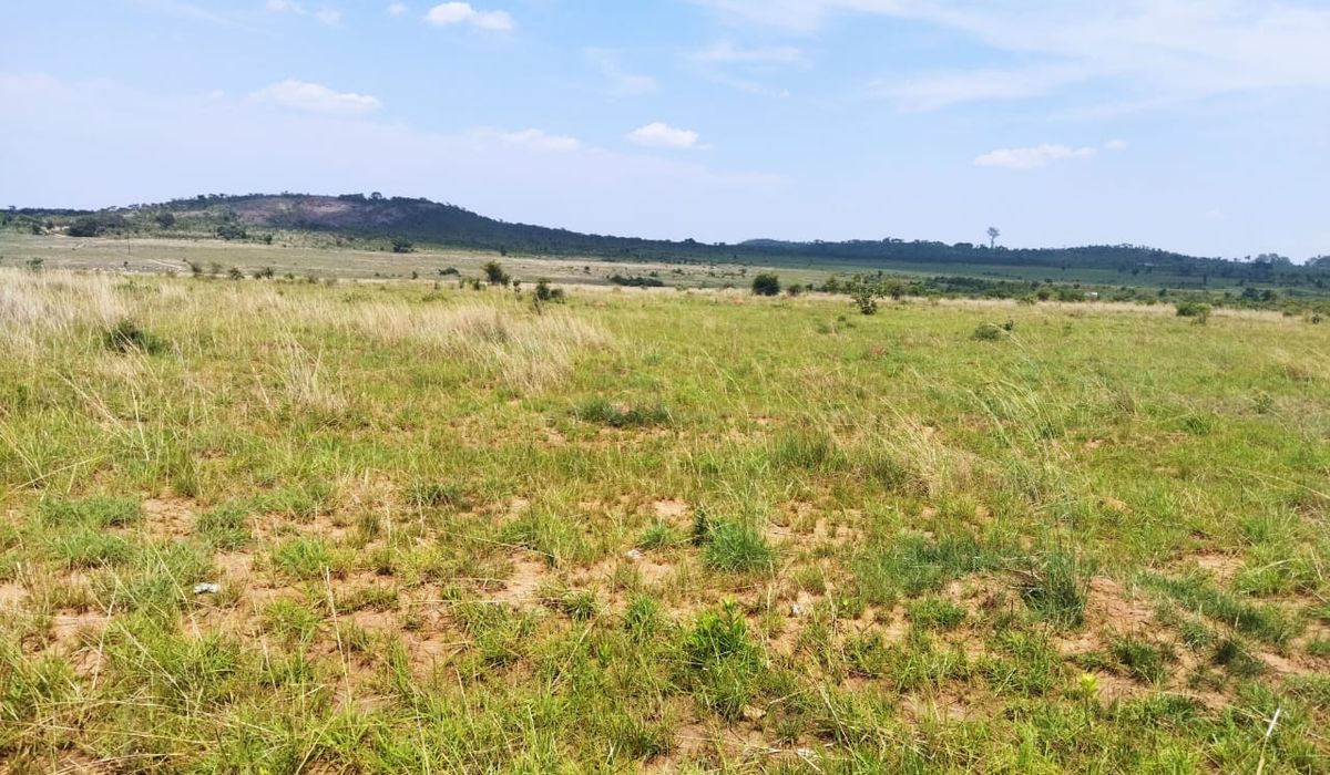 Stand for Sale in Borrowdale/Domboshava
