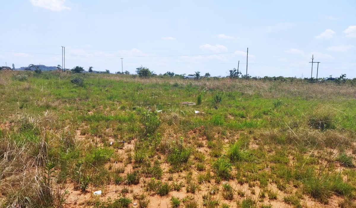 Stand for Sale in Borrowdale/Domboshava