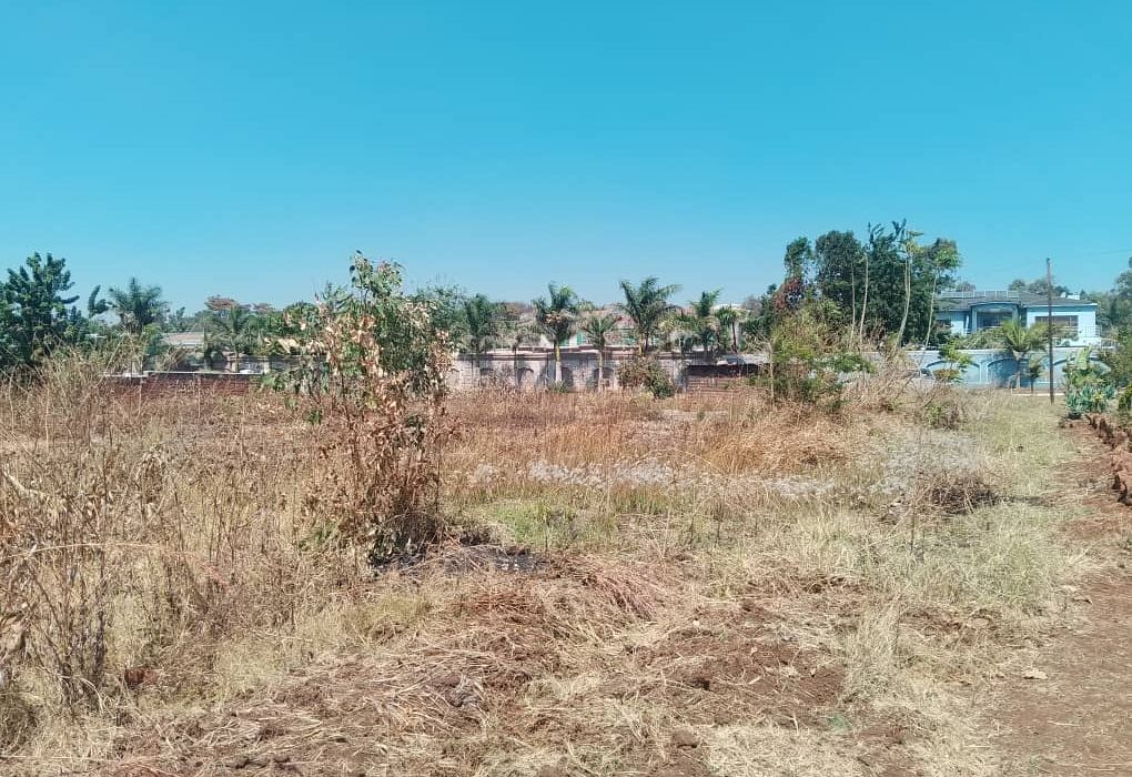 Stand for Sale in Brooke View Estate
