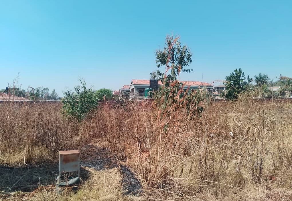 Stand for Sale in Brooke View Estate