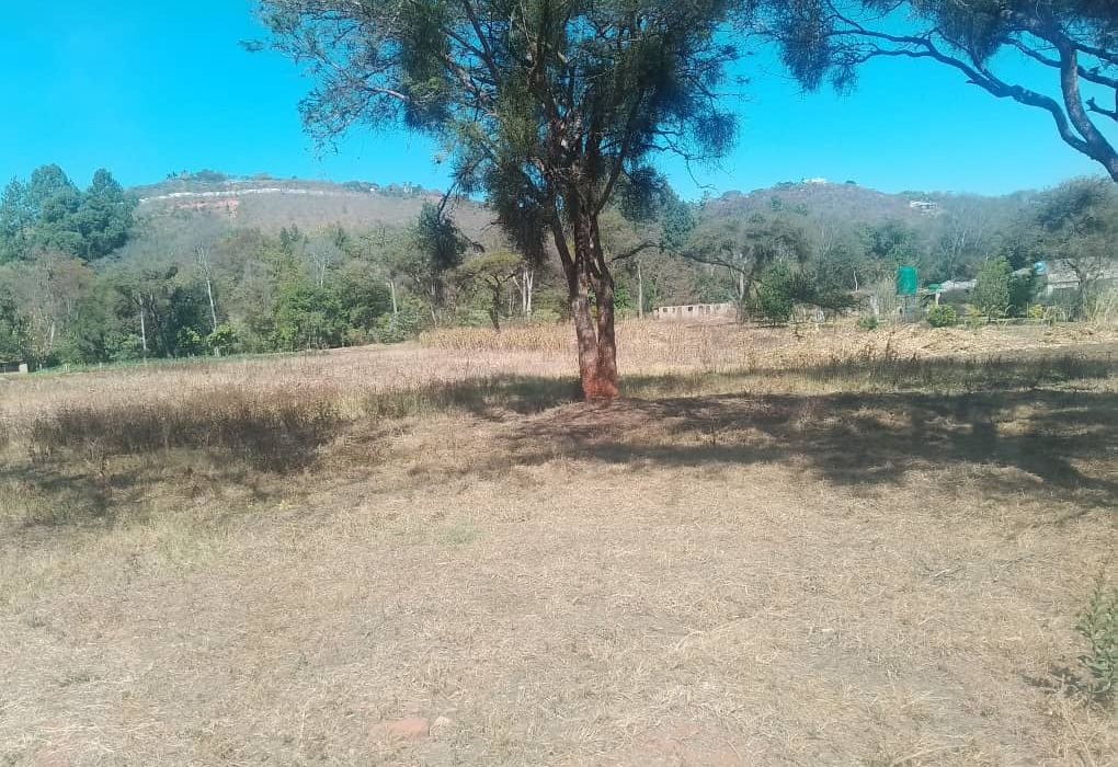 Stand for Sale in Carrick Creagh Estate 