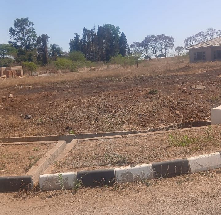 Stand for Sale in Cold Comfort, Views park 