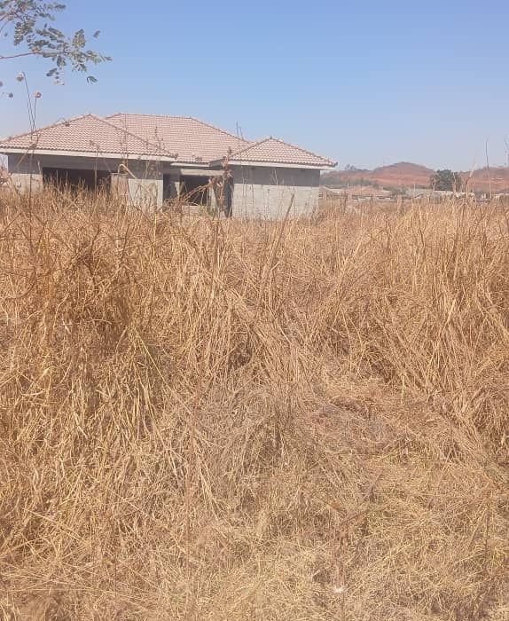 Stand for Sale in Cold Comfort, Views park 