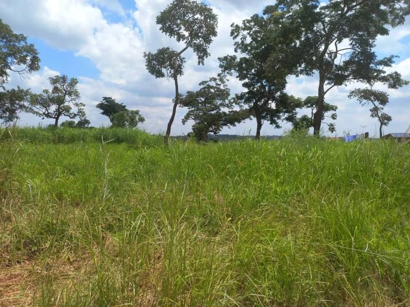 Stand for Sale in Crowhill 