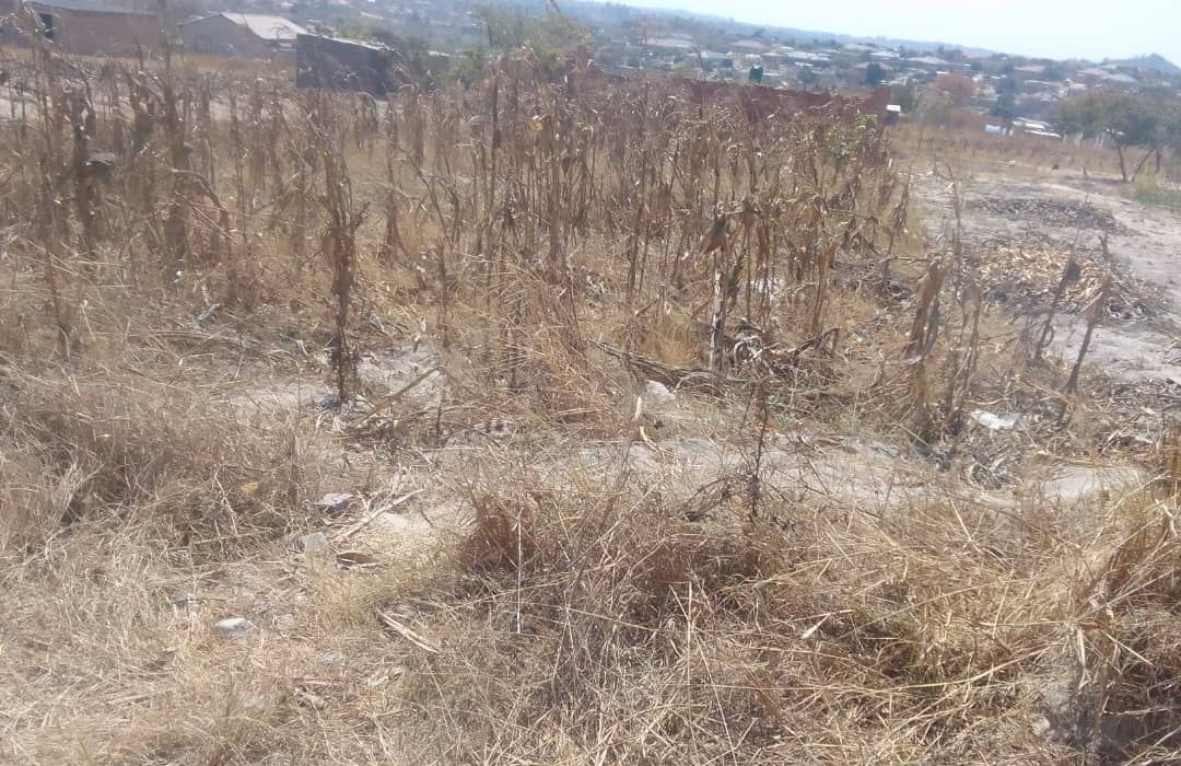 Stand for Sale in Eastview Phase 17