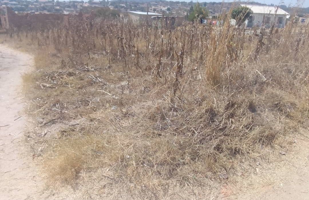 Stand for Sale in Eastview Phase 17