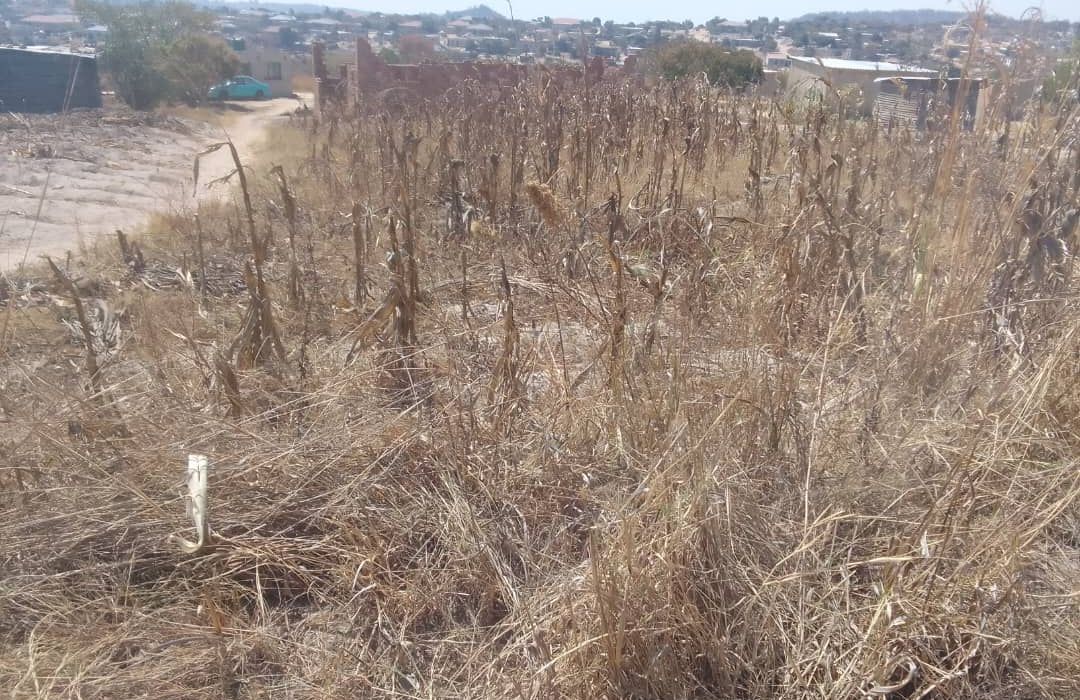 Stand for Sale in Eastview Phase 17