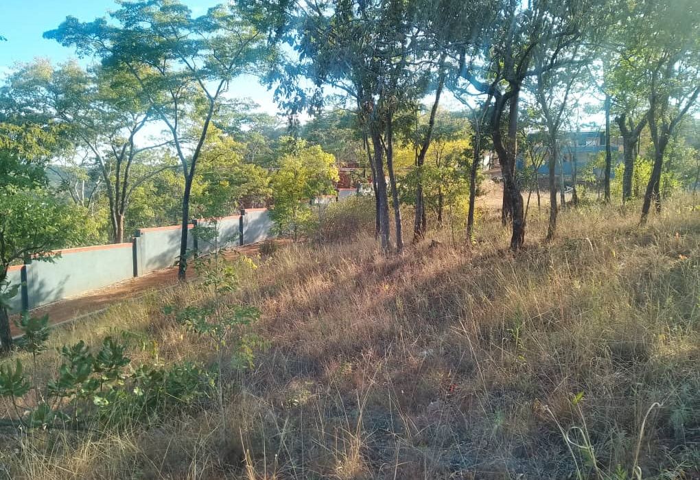 Stand for Sale in Glen Lorne 