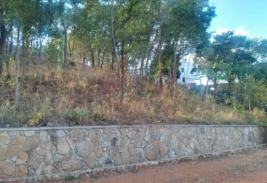 Stand for Sale in Glen Lorne 