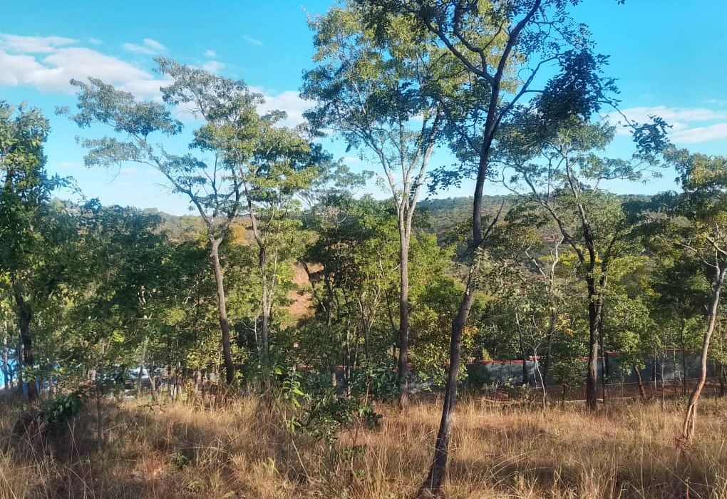 Stand for Sale in Glen Lorne 