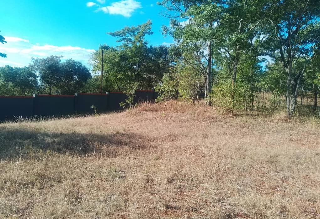 Stand for Sale in Glen Lorne 
