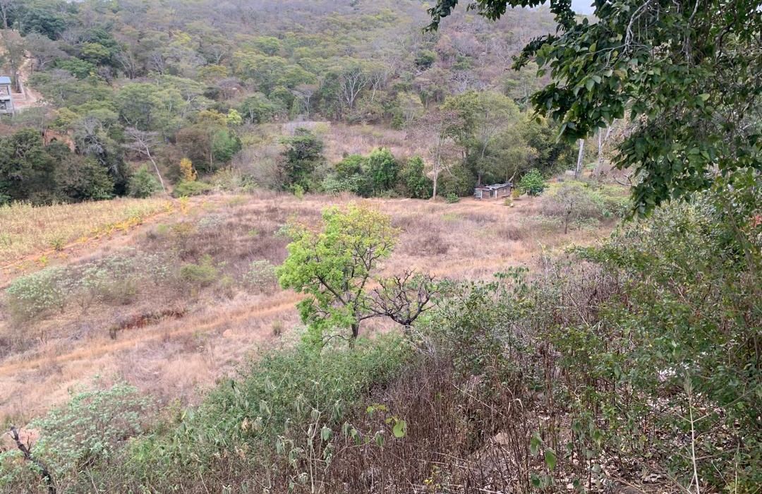 Stand for Sale in Glen Lorne 
