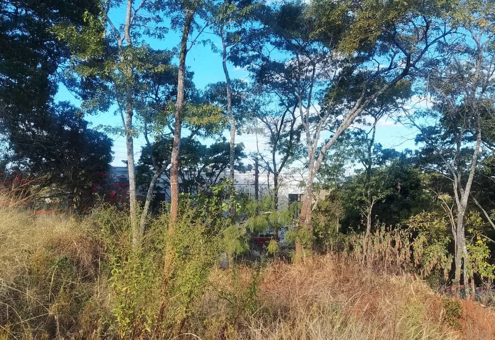 Stand for Sale in Glen Lorne 