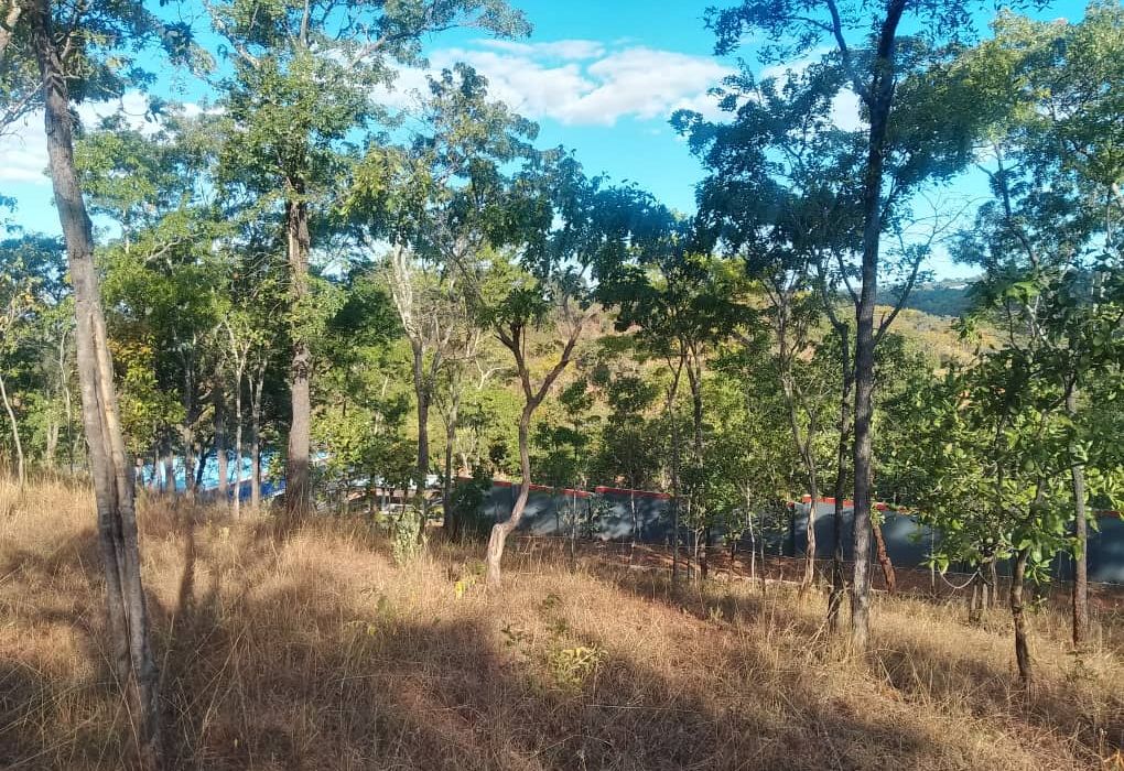 Stand for Sale in Glen Lorne 