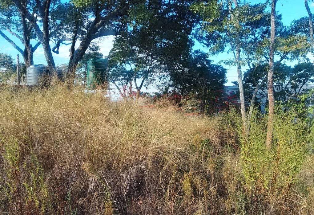 Stand for Sale in Glen Lorne 