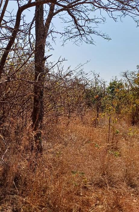 Stand For Sale in GlenForest 
