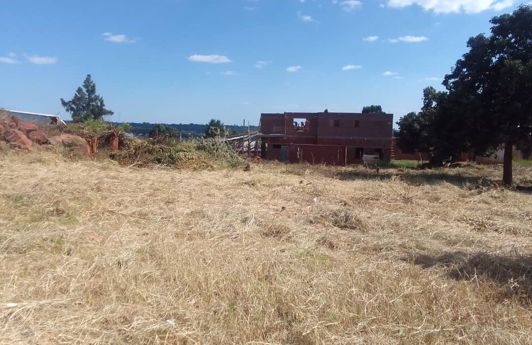 Stand for Sale in Gletwin 