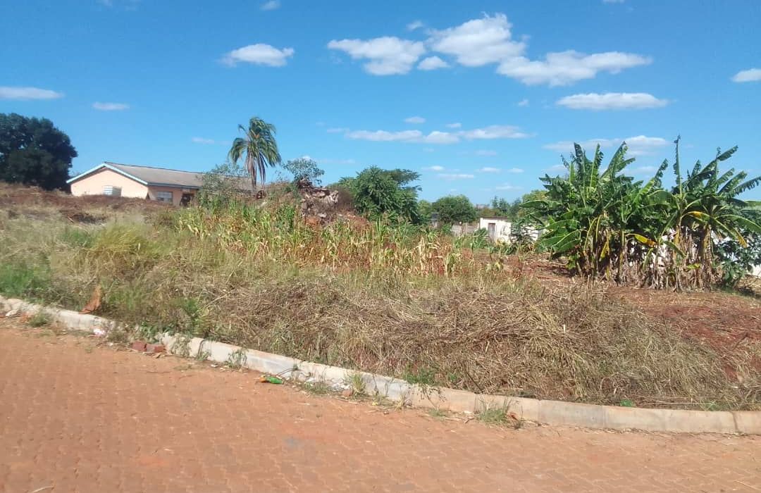 Stand for Sale in Gletwin 