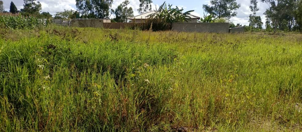 Stand for Sale in Hatfield 