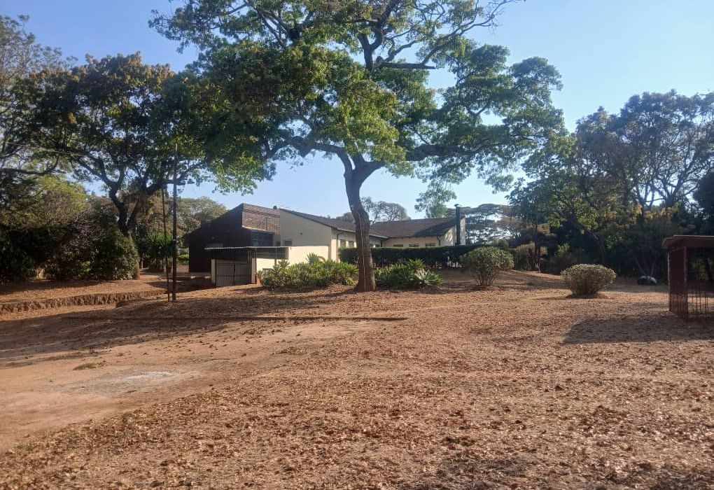 Stand for Sale in Hatfield 