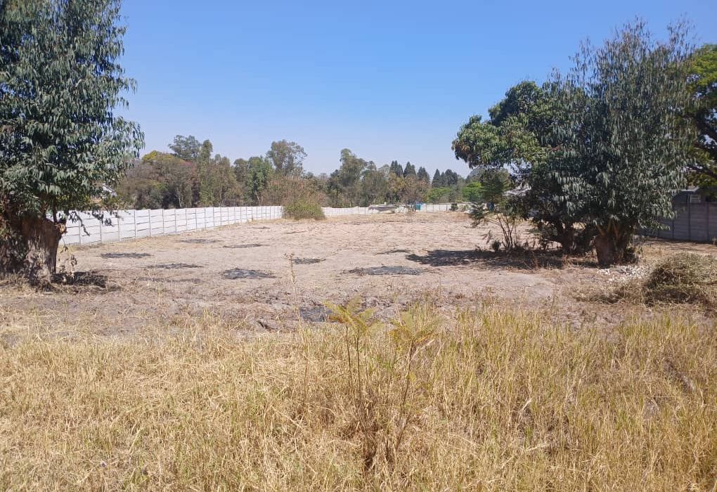 Stand for Sale  in Hatfield 