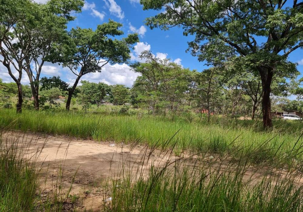Stand for Sale in Helensvale 