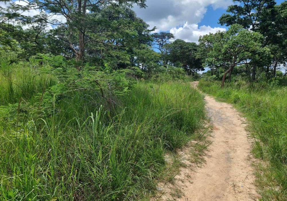 Stand for Sale in Helensvale 