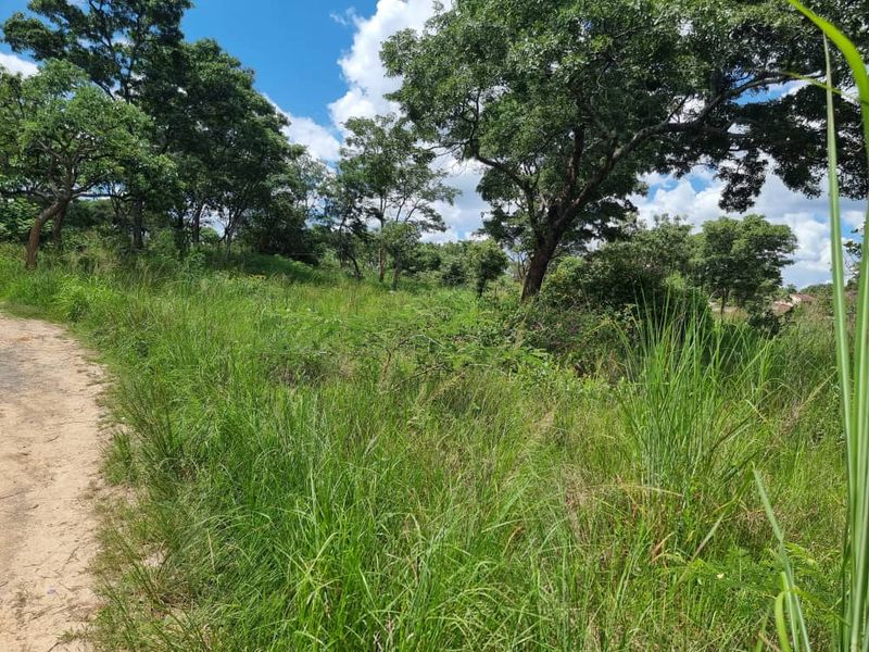 Stand for Sale in Helensvale 