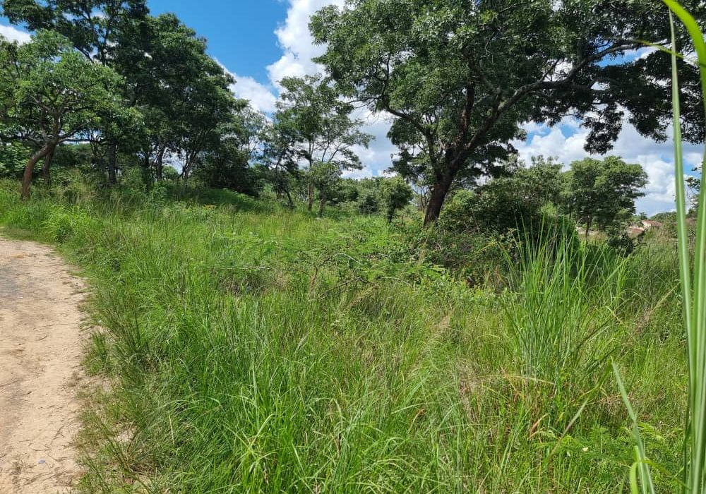Stand for Sale in Helensvale 