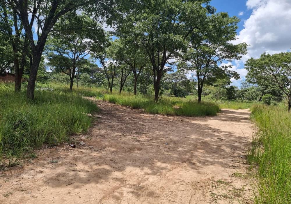 Stand for Sale in Helensvale 