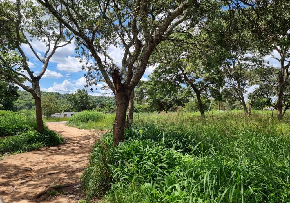 Stand for Sale in Helensvale 
