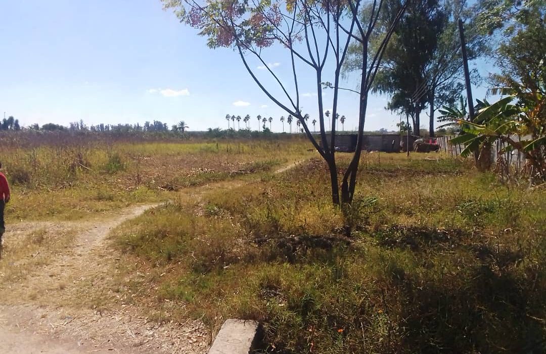 Stand for Sale in Marlborough