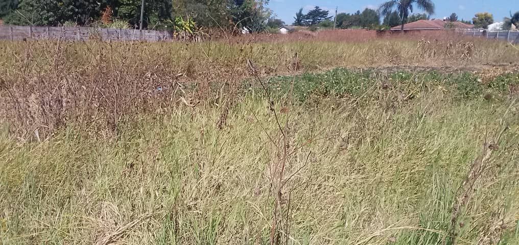 Stand for Sale in Marlborough