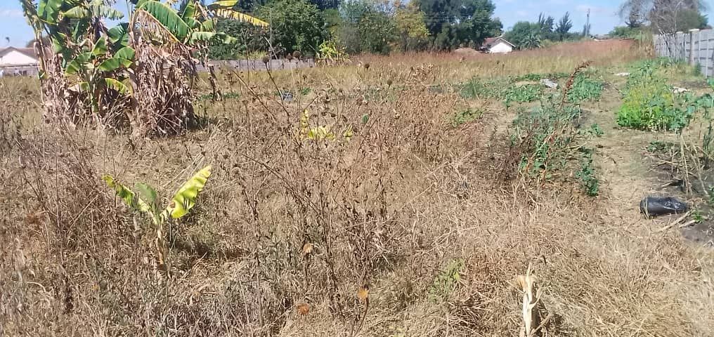 Stand for Sale in Marlborough