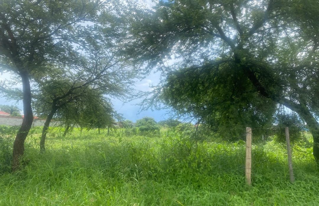 Stand for Sale in Matsheumhlope, Bulawayo