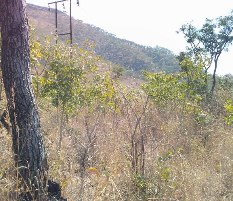Stand for Sale in Mazowe
