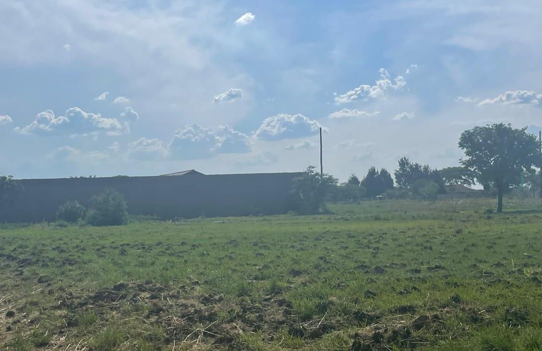 Stand for Sale in Norton 