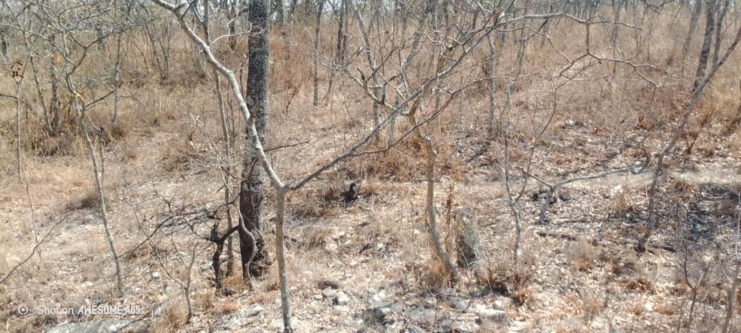 Stand for Sale in Nyanga 