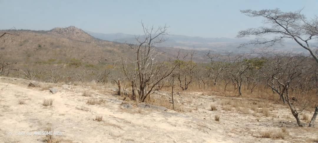 Stand for Sale in Nyanga 
