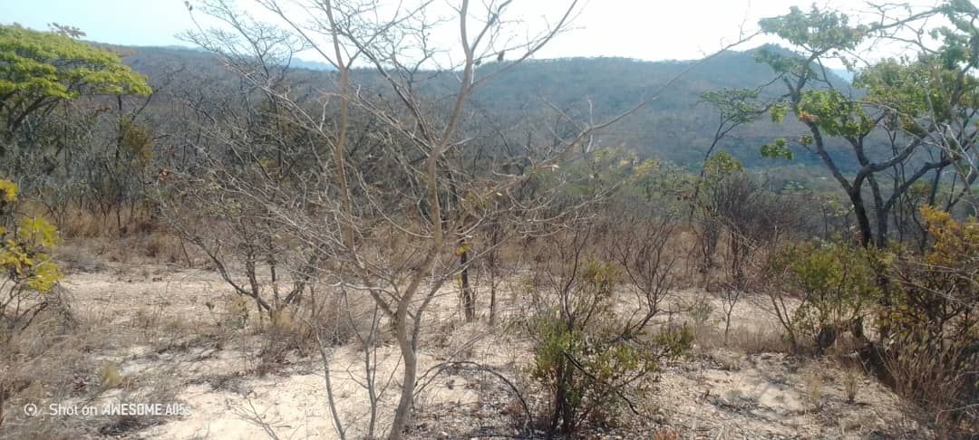 Stand for Sale in Nyanga 